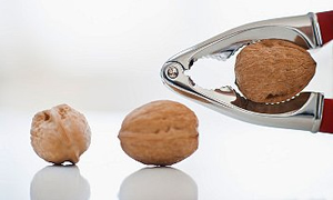 Dünyayı açlıktan ceviz kurtaracak