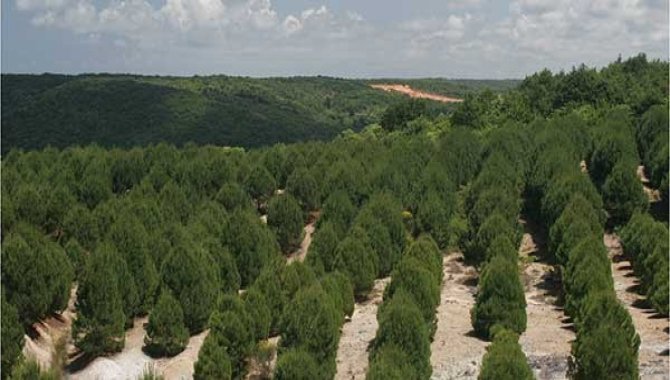 İzmir'de "Organ Bağışı Hatıra Ormanı" oluşturuldu
