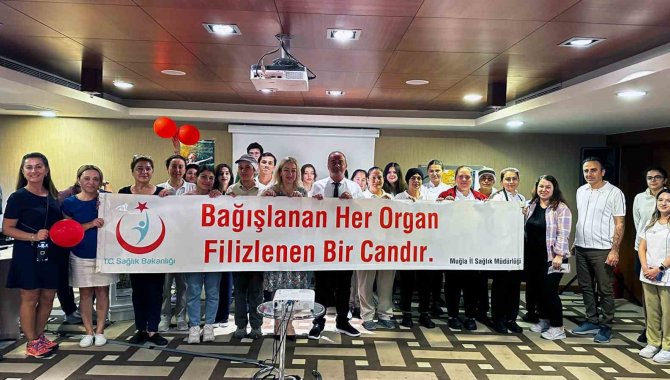 Türkiye’de Yılda 8 Bin Organ Nakli Yapılıyor