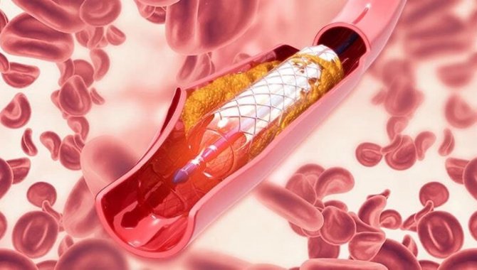 Prof. Dr. Aksoy, Anjiyoda Modern Teknoloji Hakkında Bilgi Verdi