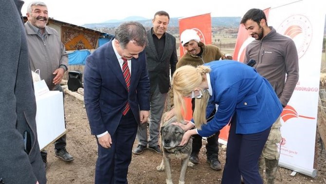 Bu Hastalık Köpeklerden İnsanlara Bulaşıyor