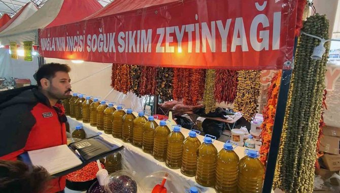 Muğla Tarım Müdürlüklerinden Zeytin Ve Zeytinyağı Denetimi