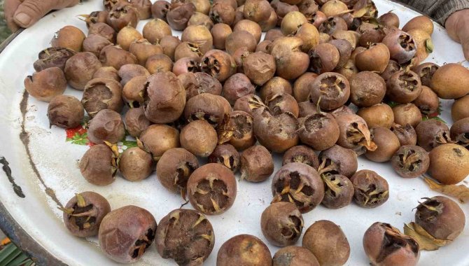 Alaşehir’de Şifa Kaynağı Muşmula Yok Satıyor