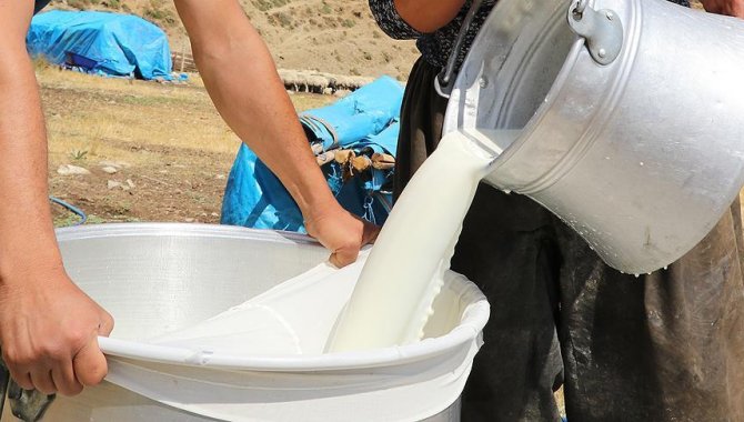 Çiğ sütün işlenmesine yönelik bazı özel hijyen kurallarına uyum süresi uzatıldı
