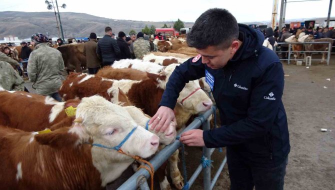 Yozgat’ta Canlı Hayvan Pazarlarında Sıkı Denetim