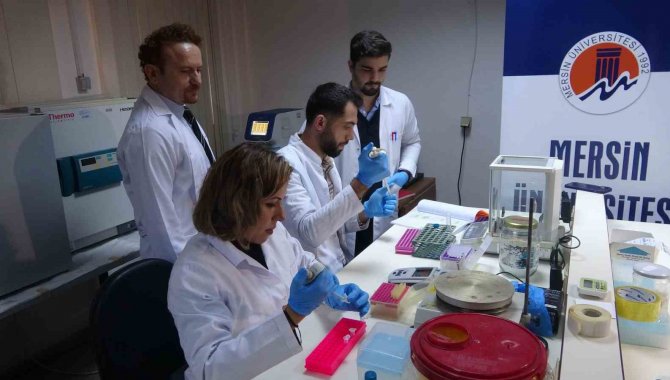 Kkka Hastalığına Yönelik Spesifik Gen Araştırması