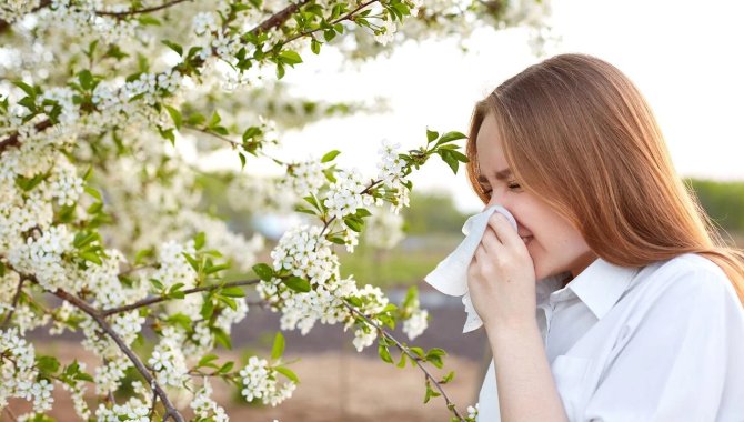 Bahar alerjisi soğuk algınlığıyla benzer belirtiler taşıyor
