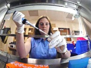 Kök hücre tedavisinde hastadan para alınmayacak, başvuruyu doktor yapacak