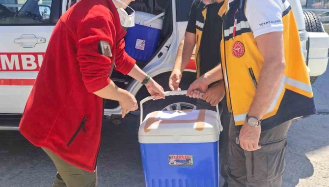 1 Yaşındaki Bebeğin Organları 4 Hastaya Umut Oldu