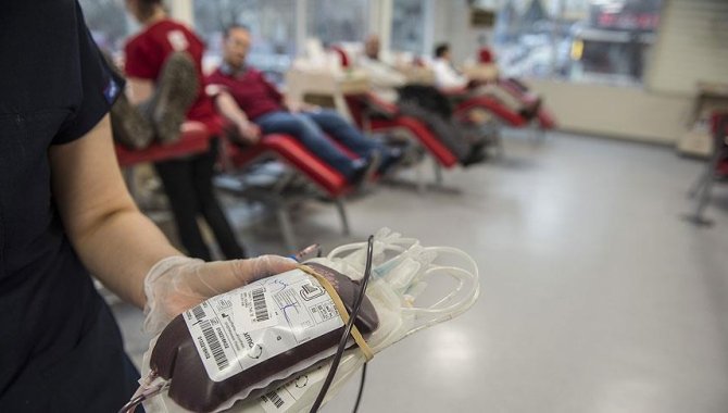 Edirne'de polisler önce kan verdi sonra fidan dikti