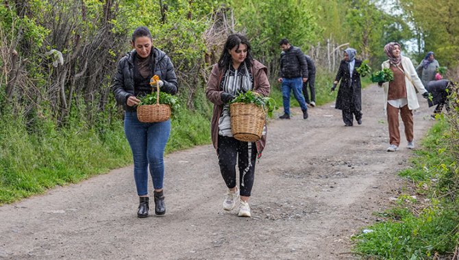8 bin yıllık Hevsel Bahçeleri'nde toplanan otlar Diyarbakır mutfağında lezzete dönüşüyor
