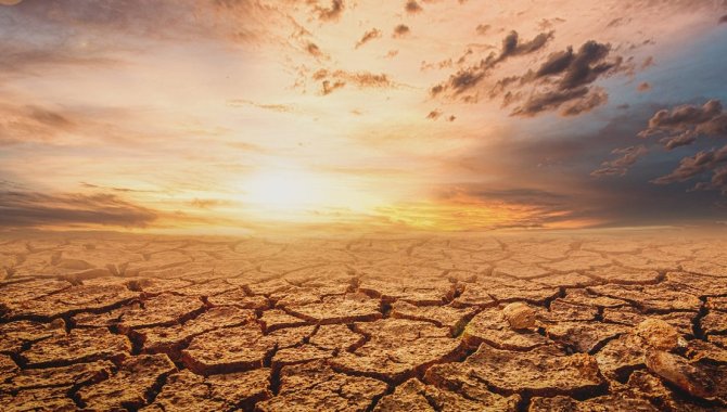 Küresel ısınma kene, yılan ve akrep gibi canlıların yayılımını artırıyor