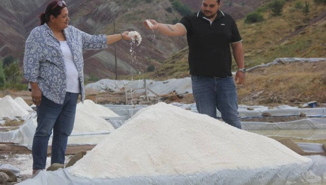 Ünlü şeflerin de tercih ettiği "altın tuz"da hasat zamanı