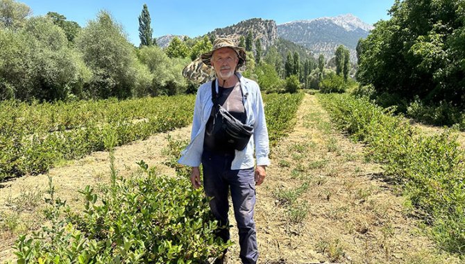 Avustralya'da çalışıp emekli olan gurbetçi, Isparta'da aronya bahçesi kurdu