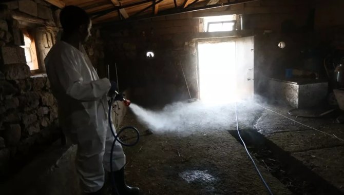 Kars'ta "dezenfeksiyon timi" şap hastalığıyla mücadele için 100 kişilik ekiple sahada