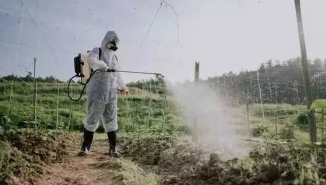 Fransa'da Anayasa Konseyi, çevrecilerin tepki gösterdiği "Duplomb" yasasının bir maddesini iptal etti