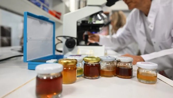 İklim değişikliği kestane balının içeriğini etkiledi