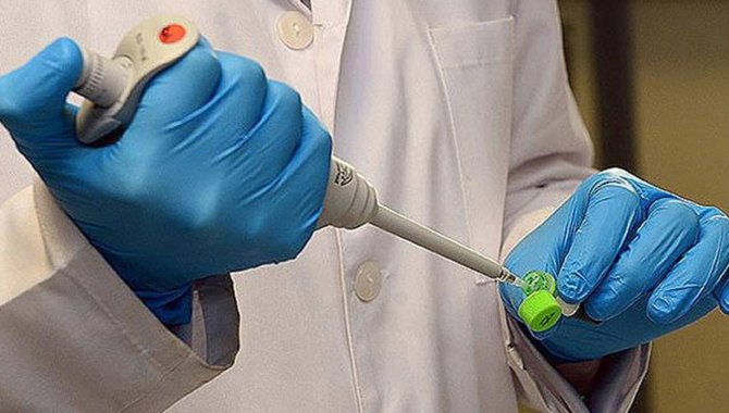 ABD'de ilk kez bir insanda "Yeni Dünya vida kurdu sineği" vakası tespit edildi