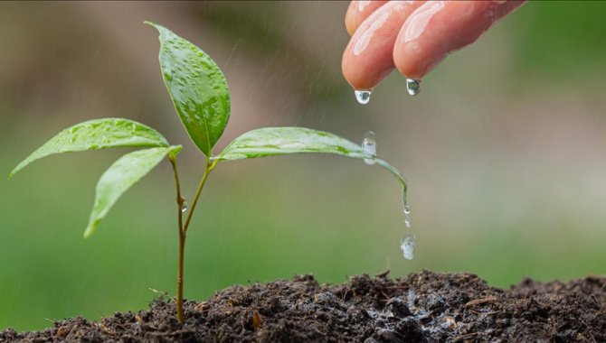 Çevreye duyarlı yeşil yapay zekayla her alanda verimlilik artacak
