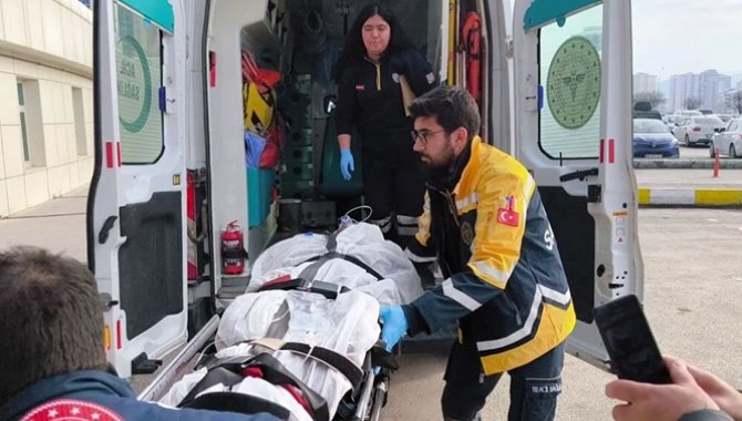 Sivas'ta ayının saldırdığı kadın tedavi altına alındı