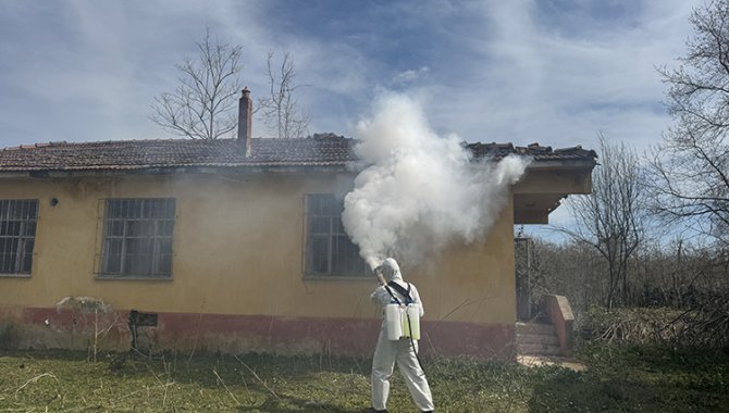 Samsun'da kahverengi kokarcaya karşı kışlak mücadelesi sürüyor