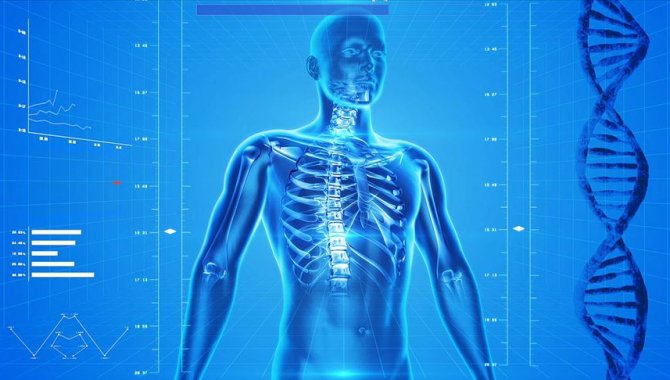 Osteoporoza bağlı kırıklar yaşamı tehdit ederken sağlık sistemine olan yükü de artırıyor