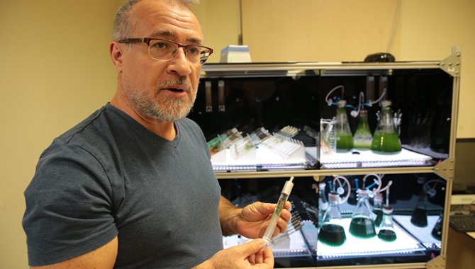 Türk akademisyenler, mürekkep balığından cilt onarıcı ve koruyucu güneş kremi üretti