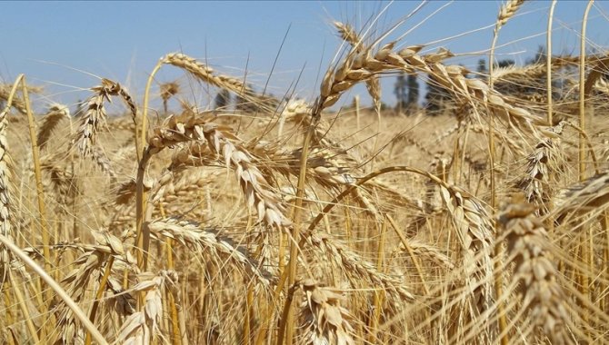 BM yetkililerinden su ve gıda israfıyla mücadelede işbirliği çağrısı