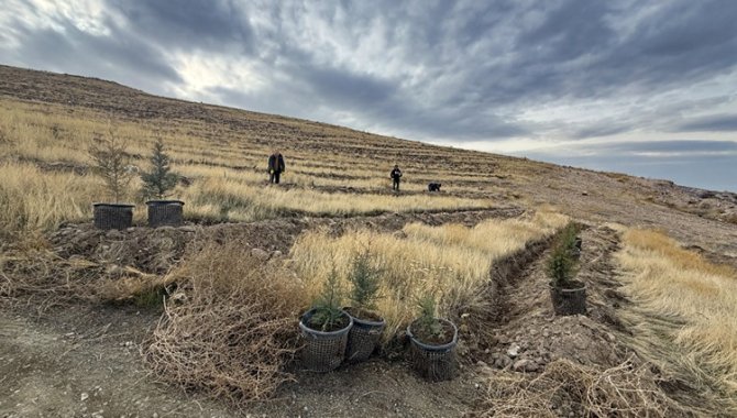 Türkiye'nin en kirli havasına sahip Iğdır'da bol oksijen için ağaçlandırma hamlesi