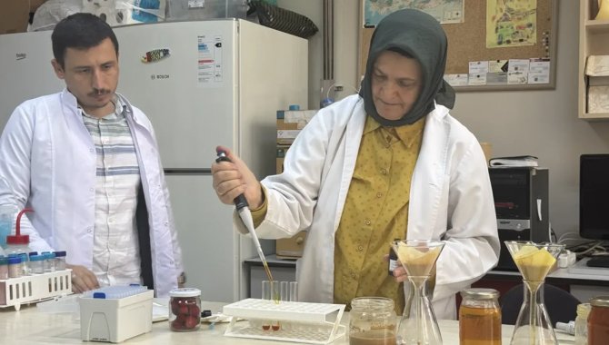 Doku hasarına karşı aronya "doğal kalkan" olabilir