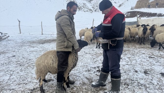 Hakkari'de veteriner hekimler hayvanların sağlığı için karlı yolları aşıyor