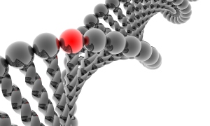 Hücre DNA'sına bilgisayar yerleştirdiler