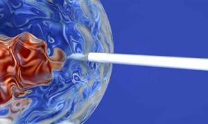 Japonya'da kök hücreden organ üretilecek