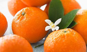 Mandalina her derde deva