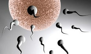 Sperm vermek için iki aydır temiz oda bekliyor!