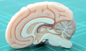 Hafızayı geri getiren beyin implantı geliştirildi