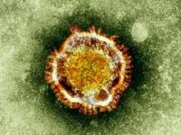 Virüse yakalanan 6 kişi hayatını kaybetti
