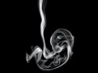 Sigaranın dumanın bebeklere etkileri...