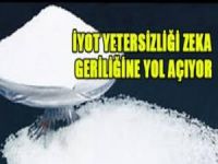 İyot eksikliği zeka geriliğine yol açıyor