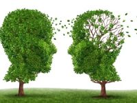 Alzheimer'a karşı bulmacanın faydası yok!