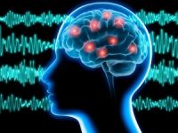 Epilepsi tanısı konulan hastaların yüzde 30'u gerçek epilepsi değil