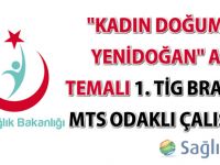 "Kadın Doğum ve Yenidoğan" Ana Temalı 1.TİG Branş ve MTS Odaklı Çalıştay Dokümanı