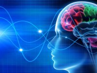 Bilim adamları ses dalgalarıyla beyni kontrol etti