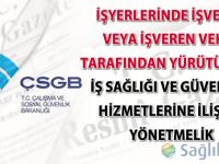 İşyerlerinde İşveren veya İşveren Vekili Tarafından Yürütülecek İş Sağlığı ve Güvenliği Hizmetlerine İlişkin Yönetmelik