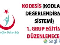 KoDeSis (Kodlama Değerlendirme Sistemi) 1. Grup Eğitimi Düzenlenecek