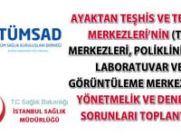 Tümsad-İstanbul İl sağlık Müdürlüğü Yönetmelik ve Denetim Sorunları Toplantısı