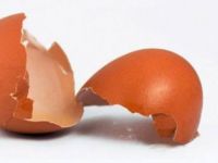 Yumurta kabuğuyla yara tedavisi