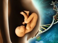 Genetik testler ile bebeğin anomalisi erken haftalarda belirlenebiliyor
