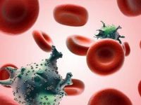 Kızılay'a kan veren 70 kişide HIV çıktı