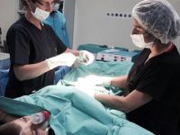 Türk ve Güney Koreli cerrahlar canlı yayında ameliyat yapacak